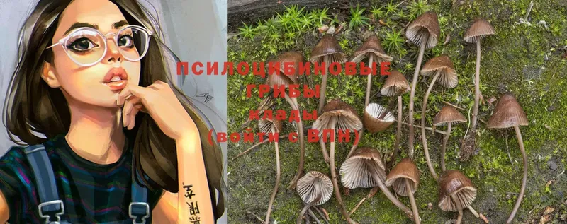 Псилоцибиновые грибы MAGIC MUSHROOMS  Мирный 